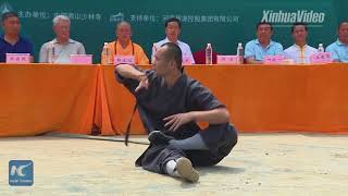 Shaolin Kung Fu show wows audience [upl. by Norved623]