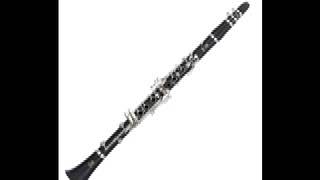 TritschTratsch Polka by Strauss  Trinity College Exam Piece Clarinet Grade 4 [upl. by Harvard]