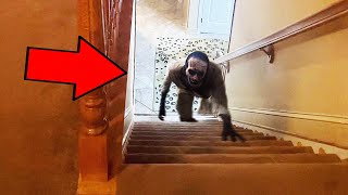 Top 8 SCARY Ghost Videos That Are Ridiculously Creepy [upl. by Ayekat]