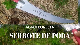 Agroflorestaserrote de poda [upl. by Fridell177]