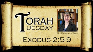 Torah Tuesday  Exodus 259 [upl. by Aihsei]