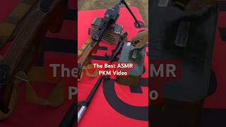 The BEST PKM Gun ASMR Video On YouTube With Shooting fullautofriday demolitionranch asmr gun [upl. by Assirod]