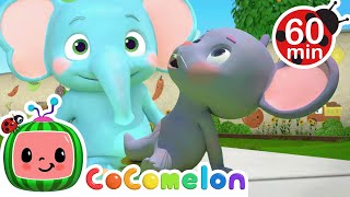 The Sneezing Song  CoComelon Sing Along Songs for Kids [upl. by Torrance957]