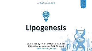 Lipogenesis Fatty Acid synthesis Part 1 [upl. by Kcirtapnhoj]