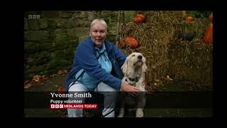 Guide Dog Puppy Raisers at Warwick Castle Oct 2024 [upl. by Kilk]