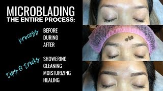 Microblading My Eyebrows Full Process Before During amp After [upl. by Yelsnik]