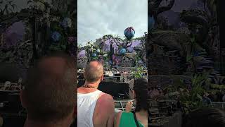 mattn 2024 tomorrowland 2024 MATTNmusic [upl. by Samoht399]