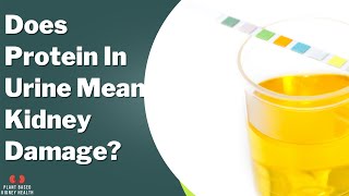 Does protein in urine mean kidney damage Are bubbles in urine normal [upl. by Viens]