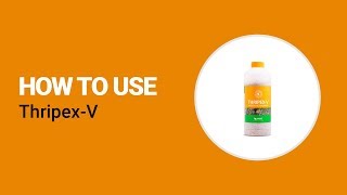 How to use ThripexV from Koppert [upl. by Jilleen502]