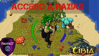 Tibia Quest  Acceso a Raxias  High and Dry Quest [upl. by Rumit874]