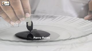 Making Magnetic FerroFluid  How To Make Ferrofluid at home  Science Experiment for kids  elearnin [upl. by Negaet201]