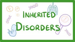 GCSE Biology  Why We Inherit Diseases From Our Family  Polydactyly amp Cystic Fibrosis 75 [upl. by Carolynne]