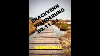 Wanderung Brackvenn 021124 [upl. by Myrna910]