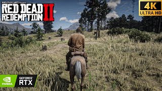 Red Dear Redemption 2 GameplayWalkthrough High Realistic Graphics DLLS 3  RTX 4060  4K 60 FPS [upl. by Sheldon]