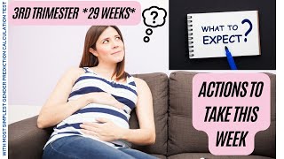 3rd Trimester 29 Weeks Pregnant  What to Expect Baby Progress  Actions to take this week [upl. by Eniarol194]