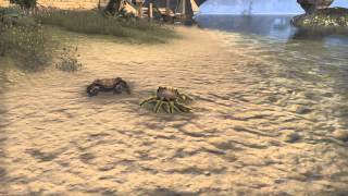 Pet Rufous Mudcrab  Elder Scrolls Online ESO [upl. by Strephon624]