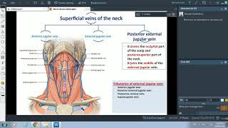 Fascia of the Neck  Dr Ahmed Farid [upl. by Alleirbag196]