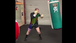 Canelo Alvarez Excellent Jab Mechanics Using Kinetic Chains Explained [upl. by Winton921]