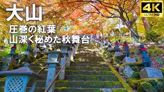 4K JAPAN Kanagawa Isehara Walk  Autumn foliage scenery of Mt Ooyama  絶景！大山の紅葉風景 [upl. by Ecenaj]