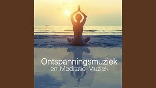 Oosterse Muziek voor Diepe Meditatie [upl. by Ainelec]