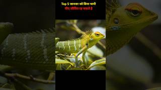 Top 5 animals that can live long without water ytshort [upl. by Neira]