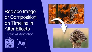 Replace Image or Composition on Timeline in After Effects Retain All Animation [upl. by Mcevoy]