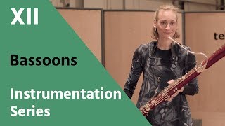 Bassoon and Contrabassoon  David Newman Instrumentation Series [upl. by Tak]