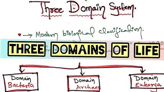 Archaea Bacteria Eukarya  Three Domain System l HindiEnglish l Explained by Neha sheikh [upl. by Kanor677]