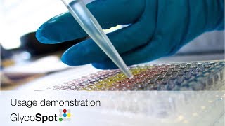 GlycoSpot 96well plate usage demonstration [upl. by Asilenna]