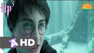 Harry Potter 3 Tamil scenes [upl. by Wickham590]