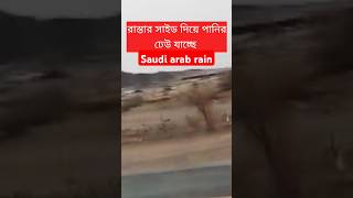 সৌদির বৃষ্টিতে সব ভাসিয়ে নিচ্ছে। Saudi arab rain।Habibiforyou shorts habibi trending viralvideo [upl. by Nassi919]