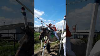 🐴 Ringrijden Aagtekerke Netherlands🇳🇱 TravelwithHugoF ringrijden aagtekerke horses [upl. by Britton96]