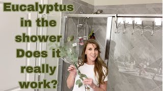 Eucalyptus in the shower 2020 trend Eucalyptus Plant VS Eucalyptus Essential oils [upl. by Atikel689]