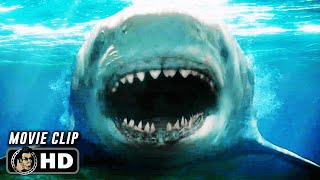 Shark Attack Scene  MEG 2 THE TRENCH 2023 Action Movie CLIP HD [upl. by Tades800]