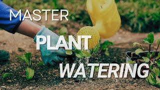 How to Water Your Plants Without Drowning Them The Unhinged Guide  Gardener’s Survival Guide🌱💧 [upl. by Nordgren]