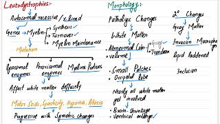 Leukodystrophies  CNS PATHOLOGY  Robbins pathology  Pathology lecture robbinspathologymedicine [upl. by Pucida]