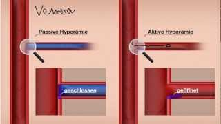 Aktive und Passive Hyperämie Manuelle Lymphdrainage [upl. by Alieka]