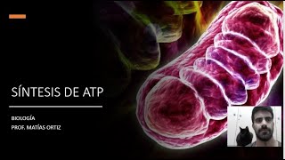 METABOLISMO SÍNTESIS DE ATP [upl. by Rosol]