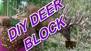 DIY Deer Block Easy Make Solid Feed  Mineral Block [upl. by Boggs]