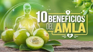 10 Beneficios para la Salud de AMLA [upl. by Treblihp856]