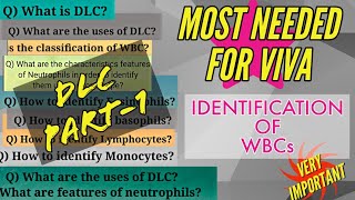 Viva Questions on DLC Part I  Identification of WBC  Physiology amp Pathology  Practical Exams [upl. by Assedo310]