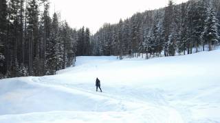 Cross Country Skiing Trickle Creek Golf Course  Kimberley BC [upl. by Yirinec]