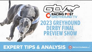 Greyhound Derby Final 2023 Preview Show  Racing Post [upl. by Sada35]