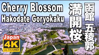 🇯🇵4K 函館 五稜郭の桜 2023 Hakodate Goryokaku Cherry Blossom Hokkaido 函館観光 桜の名所 花見 満開 旅行 北海道 sakura Japan [upl. by Eillom]