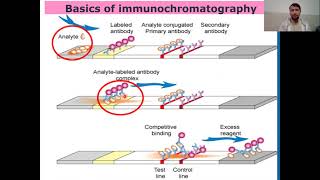 Immunochromatographic Assay or Technique I Guide to Immunochromatographic Assay [upl. by Lai]