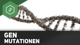 Genmutationen  Rastermutationen Insertion Deletion [upl. by Ilocin417]