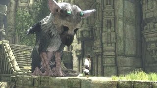 The Last Guardian  E3 Trailer [upl. by Yrod]