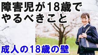 障害児が18歳でやることと成人の18歳の壁 [upl. by Acceber]