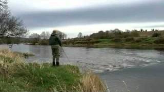 Salmon Fishing Ireland The Blackwater [upl. by Nylrebma135]