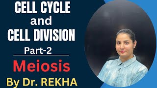 Cell Cycle amp Cell Division Part 211th Class BiologyNCERT SERIES by DrREKHA [upl. by Sabella]